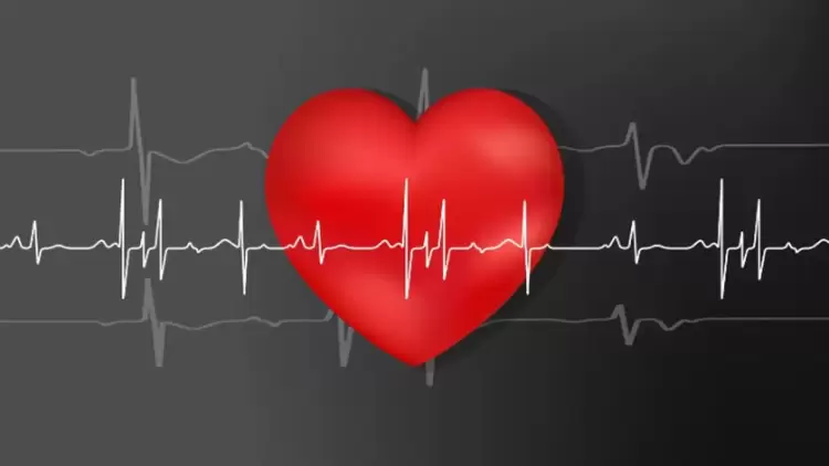 Μυοκαρδιοπάθειες: Οι σιωπηλές παθήσεις της καρδιάς Μυοκαρδιοπάθειες: Οι σιωπηλές παθήσεις της καρδιάς