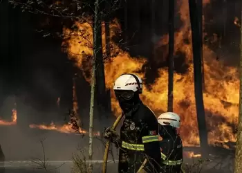 Οι πυρκαγιές απειλούν την ποιότητα των υδάτων έως και οκτώ χρόνια μετά