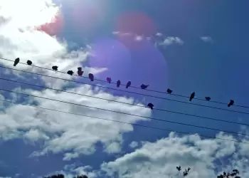 Πώς θα είναι ο καιρός σε Κοζάνη και Δυτική Μακεδονία σήμερα Κυριακή (Πεντηκοστή), 08 Ιουνίου 2025: Γενικά αίθριος με λίγες νεφώσεις Πώς θα είναι ο καιρός σε Κοζάνη και Δυτική Μακεδονία σήμερα Κυριακή (Πεντηκοστή), 08 Ιουνίου 2025: Γενικά αίθριος με λίγες νεφώσεις