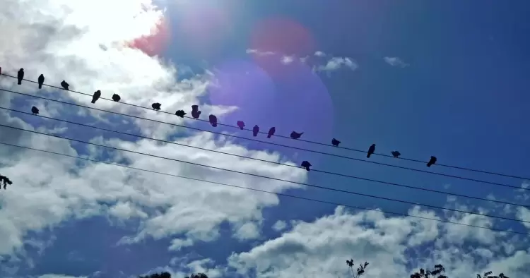 Πώς θα είναι ο καιρός σε Κοζάνη και Δυτική Μακεδονία σήμερα Κυριακή (Πεντηκοστή), 08 Ιουνίου 2025: Γενικά αίθριος με λίγες νεφώσεις