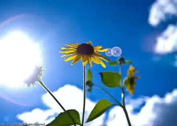 Πώς θα είναι ο καιρός σε Κοζάνη και Δυτική Μακεδονία σήμερα Κυριακή, 01 Ιουνίου 2025: Γενικά αίθριος με λίγες νεφώσεις Πώς θα είναι ο καιρός σε Κοζάνη και Δυτική Μακεδονία σήμερα Κυριακή, 01 Ιουνίου 2025: