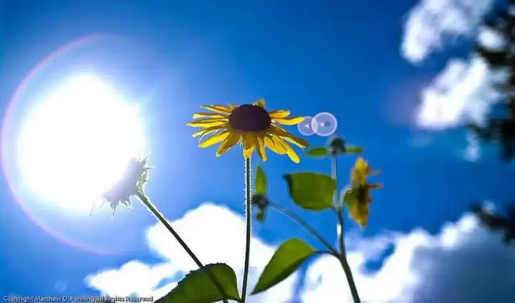 Πώς θα είναι ο καιρός σε Κοζάνη και Δυτική Μακεδονία σήμερα Κυριακή, 01 Ιουνίου 2025: