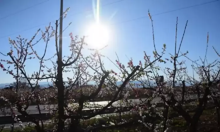 Πώς θα είναι ο καιρός σε Κοζάνη και Δυτική Μακεδονία σήμερα Σάββατο, 21 Ιουνίου 2025: Αίθριος με λίγες νεφώσεις