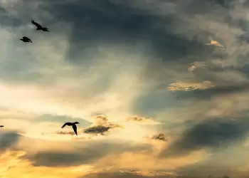 Πώς θα είναι ο καιρός σε Κοζάνη και Δυτική Μακεδονία σήμερα Δευτέρα, 09 Ιουνίου 2025: Γενικά αίθριος με λίγες τοπικές νεφώσεις Πώς θα είναι ο καιρός σε Κοζάνη και Δυτική Μακεδονία σήμερα Δευτέρα, 09 Ιουνίου 2025: Γενικά αίθριος με λίγες τοπικές νεφώσεις