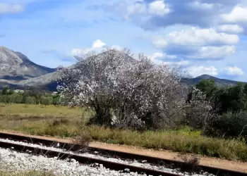 Πώς θα είναι ο καιρός σε Κοζάνη και Δυτική Μακεδονία σήμερα Παρασκευή, 06 Ιουνίου 2025: Σχεδόν αίθριος με λίγες νεφώσεις Πώς θα είναι ο καιρός σε Κοζάνη και Δυτική Μακεδονία σήμερα Παρασκευή, 06 Ιουνίου 2025: Σχεδόν αίθριος με λίγες νεφώσεις