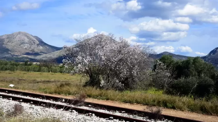 Πώς θα είναι ο καιρός σε Κοζάνη και Δυτική Μακεδονία σήμερα Παρασκευή, 06 Ιουνίου 2025: Σχεδόν αίθριος με λίγες νεφώσεις Πώς θα είναι ο καιρός σε Κοζάνη και Δυτική Μακεδονία σήμερα Παρασκευή, 06 Ιουνίου 2025: Σχεδόν αίθριος με λίγες νεφώσεις