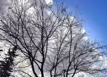 Πώς θα είναι ο καιρός σε Κοζάνη και Δυτική Μακεδονία σήμερα Σάββατο, 28 Ιουνίου 2025: Αίθριος με κατά τόπους νεφώσεις και βροχές