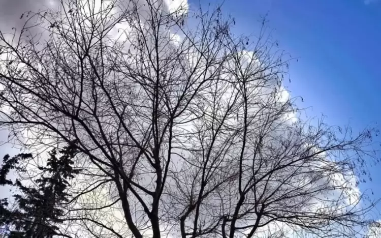 Πώς θα είναι ο καιρός σε Κοζάνη και Δυτική Μακεδονία σήμερα Σάββατο, 28 Ιουνίου 2025: Αίθριος με κατά τόπους νεφώσεις και βροχές Πώς θα είναι ο καιρός σε Κοζάνη και Δυτική Μακεδονία σήμερα Σάββατο, 28 Ιουνίου 2025: Αίθριος με κατά τόπους νεφώσεις και βροχές