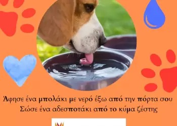 «Άφησε ένα μπολάκι με νερό έξω από την πόρτα σου»