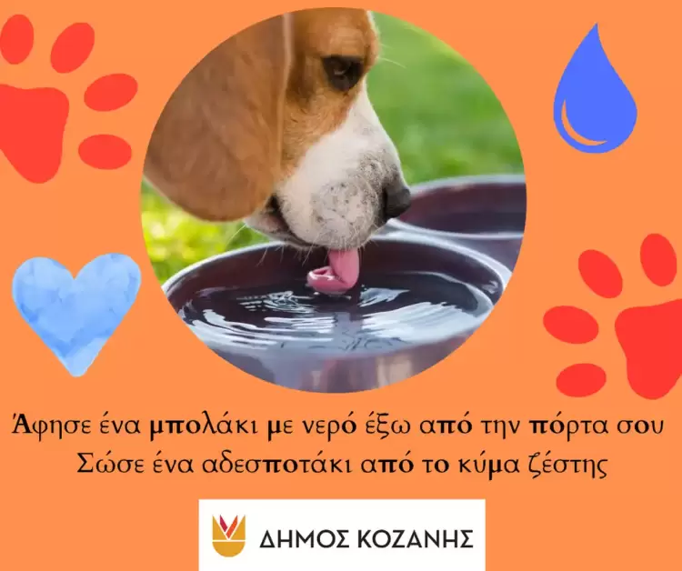 «Άφησε ένα μπολάκι με νερό έξω από την πόρτα σου» «Άφησε ένα μπολάκι με νερό έξω από την πόρτα σου»