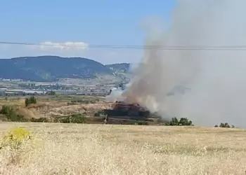 Άμεση κινητοποίηση για την κατάσβεση πυρκαγιάς στην περιοχή Βαλτονέρων – Πεδινού του Δήμου Αμυνταίου