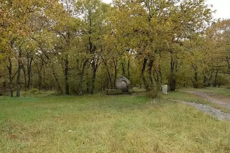 Απαγόρευση κυκλοφορίας την Τρίτη 15 Ιουλίου στο περιαστικό Άλσος Κουρί Κοζάνης Απαγόρευση κυκλοφορίας την Τρίτη 15 Ιουλίου στο περιαστικό Άλσος Κουρί Κοζάνης