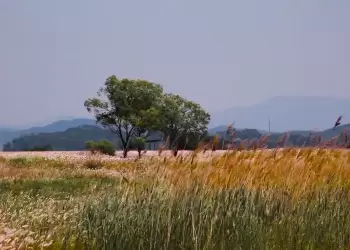 ΕΛΓΑ: Πληρωμή 13,5 εκατ. ευρώ για πυρκαγιές 2021 ΕΛΓΑ: Πληρωμή 13,5 εκατ. ευρώ για πυρκαγιές 2021