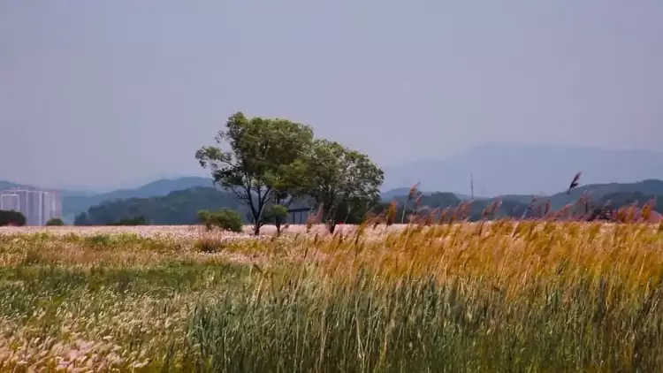 ΕΛΓΑ: Πληρωμή 13,5 εκατ. ευρώ για πυρκαγιές 2021