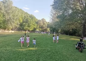 Επιτυχής ολοκλήρωση του Forestival 2025 από το Πρότυπο Δάσος Δυτικής Μακεδονίας