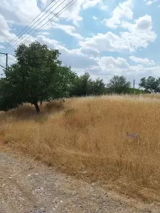Φωτιά εξω από το χωριό του Αγίου Δημητρίου Φωτιά εξω από το χωριό του Αγίου Δημητρίου