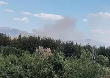 Φωτιά στην περιοχή στα Κοίλα Κοζάνης (βίντεο)