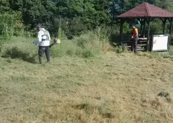 Καθαρισμός κορυφής και κεντρικού δασικού δικτύου του λόφου Αγίου Παντελεήμονα από αυτοφυή βλάστηση