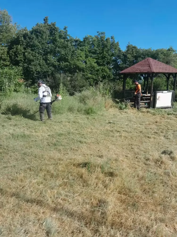 Καθαρισμός κορυφής και κεντρικού δασικού δικτύου του λόφου Αγίου Παντελεήμονα από αυτοφυή βλάστηση