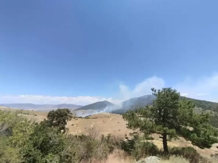 Νέα φωτιά: Στις φλόγες περιοχή του Δρεπάνου