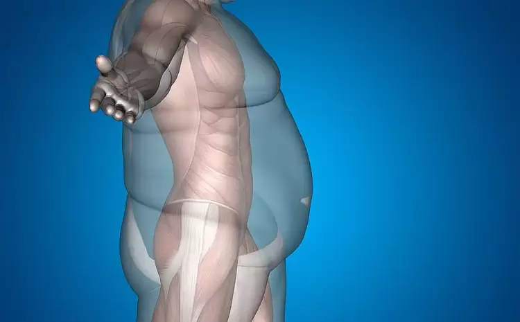 Νέα μελέτη: Η παχυσαρκία δεν προκαλείται από καθιστική ζωή – Ο ρόλος της διατροφής