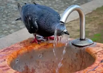 Οδηγός επιβίωσης στον καύσωνα: Πρακτικές συμβουλές για να προστατευτείτε από τις υψηλές θερμοκρασίες