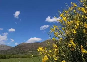 Πώς θα είναι ο καιρός σε Κοζάνη και Δυτική Μακεδονία σήμερα Τετάρτη, 30 Ιουλίου 2025: Σχεδόν αίθριος με τοπικές νεφώσεις