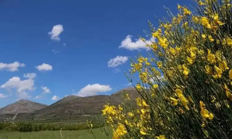 Πώς θα είναι ο καιρός σε Κοζάνη και Δυτική Μακεδονία σήμερα Τετάρτη, 30 Ιουλίου 2025: Σχεδόν αίθριος με τοπικές νεφώσεις Πώς θα είναι ο καιρός σε Κοζάνη και Δυτική Μακεδονία σήμερα Τετάρτη, 30 Ιουλίου 2025: Σχεδόν αίθριος με τοπικές νεφώσεις