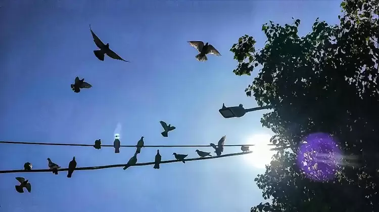 Πώς θα είναι ο καιρός σε Κοζάνη και Δυτική Μακεδονία σήμερα Σάββατο, 19 Ιουλίου 2025: Γενικά αίθριος καιρός με λίγες νεφώσεις