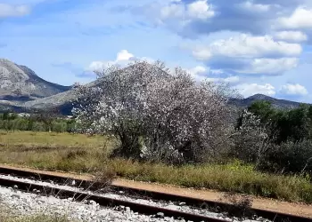 Πώς θα είναι ο καιρός σε Κοζάνη και Δυτική Μακεδονία σήμερα Τρίτη, 29 Ιουλίου 2025: Σχεδόν αίθριος με τοπικές νεφώσεις