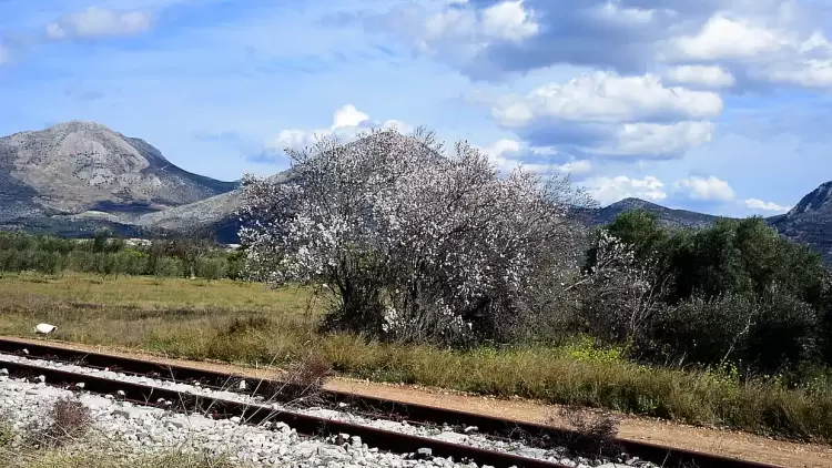 Πώς θα είναι ο καιρός σε Κοζάνη και Δυτική Μακεδονία σήμερα Τρίτη, 29 Ιουλίου 2025: Σχεδόν αίθριος με τοπικές νεφώσεις Πώς θα είναι ο καιρός σε Κοζάνη και Δυτική Μακεδονία σήμερα Τρίτη, 29 Ιουλίου 2025: Σχεδόν αίθριος με τοπικές νεφώσεις