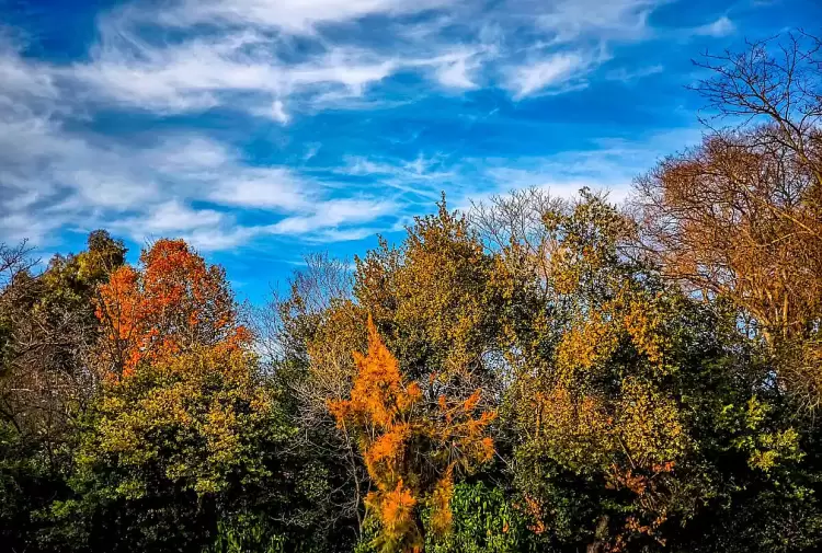 Πώς θα είναι ο καιρός σε Κοζάνη και Δυτική Μακεδονία σήμερα Τρίτη, 01 Ιουλίου 2025: Γενικά αίθριος, με τοπικές νεφώσεις