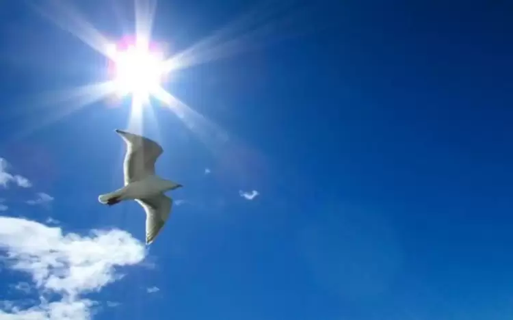 Πώς θα είναι ο καιρός σε Κοζάνη και Δυτική Μακεδονία σήμερα Δευτέρα, 07 Ιουλίου 2025: Αίθριος με ψηλές θερμοκρασίες