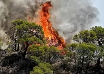 Σε εξέλιξη η κατάσβεση της πυρκαγιάς στο Νεστόριο Καστοριάς