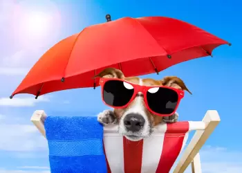 Σε κλοιό καύσωνα από σήμερα η χώρα