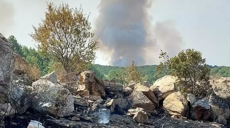 Συνεχίζεται η φωτιά στην Κοζάνη – Μάχη με τις φλόγες σε Ποντοκώμη, Σιδερά, Λιβερά και Ασβεστόπετρα Συνεχίζεται η φωτιά στην Κοζάνη – Μάχη με τις φλόγες σε Ποντοκώμη, Σιδερά, Λιβερά και Ασβεστόπετρα