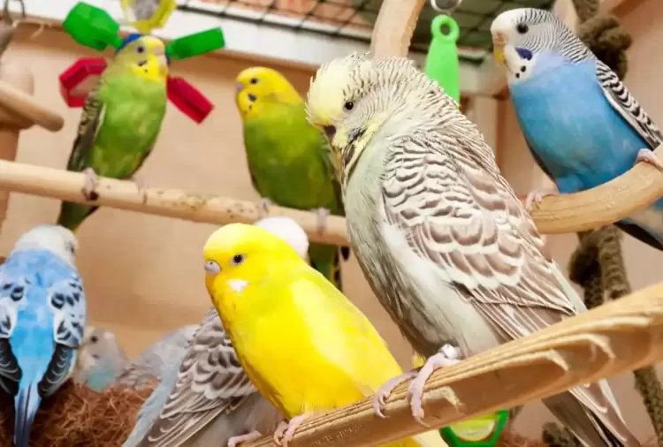 Τηλεθέρμανση Δρεπάνου: Αντιμέτωπη με το εχθρικό Κοζανίτικο κράτος που κατοικοεδρεύει στην Πλ. Νίκης