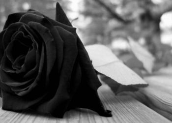 Το Κίνημα Δημοκρατίας Κοζάνης για τον πρόωρο και αδόκητο χαμό του Θεόδωρου Κουτσιμάνη