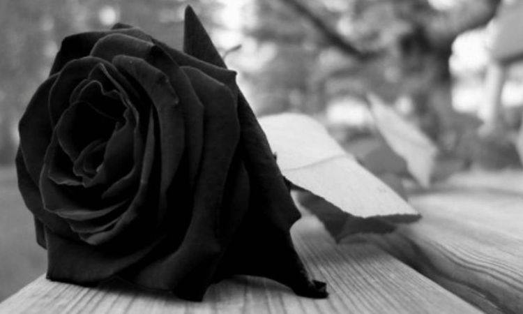 Το Κίνημα Δημοκρατίας Κοζάνης για τον πρόωρο και αδόκητο χαμό του Θεόδωρου Κουτσιμάνη