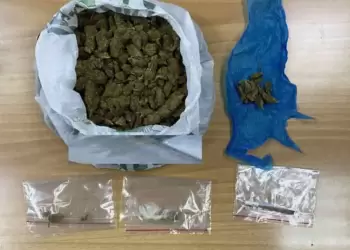 12 συλλήψεις για παράνομη κατοχή κάνναβης από το Τμήμα Δίωξης Ναρκωτικών Καστοριάς