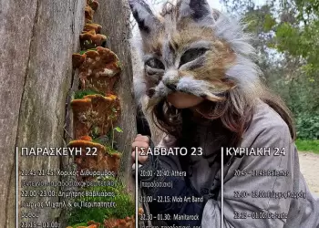 19η Πανελλήνια Γιορτή Μανιταριού, 22 24 Αυγούστου 2025, στα Γρεβενά