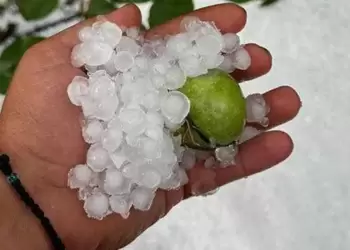 Oι ζημιές σε καλλιέργειες από την πρόσφατη κακοκαιρία σε Κεντρική και Δυτική Μακεδονία