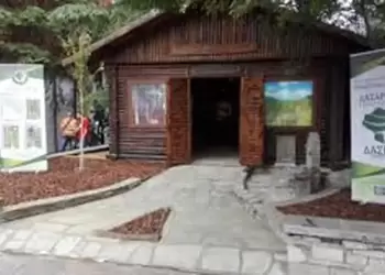 Άμεσα 117 προσλήψεις σε έξι Δασαρχεία – Πώς να κάνετε αίτηση