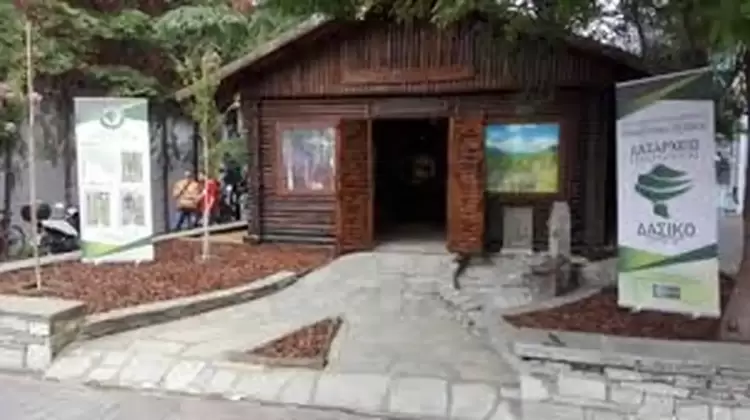 Άμεσα 117 προσλήψεις σε έξι Δασαρχεία – Πώς να κάνετε αίτηση