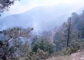 Αναβολή στη δίκη του 50χρονου για εμπρησμό από αμέλεια στα Γρεβενά