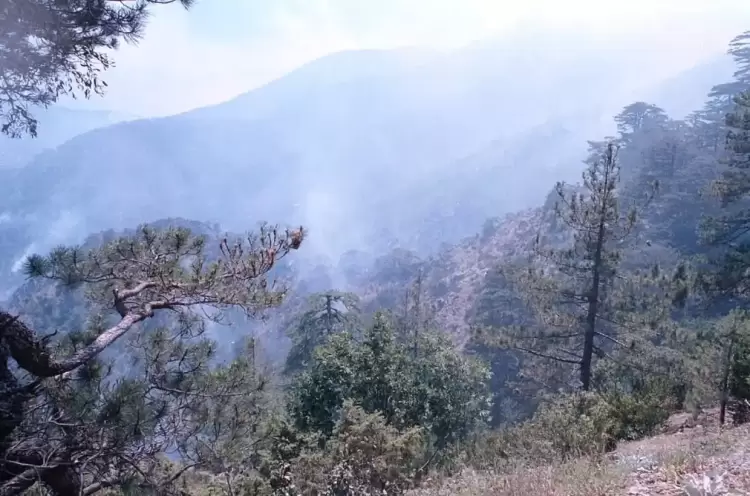 Αναβολή στη δίκη του 50χρονου για εμπρησμό από αμέλεια στα Γρεβενά Αναβολή στη δίκη του 50χρονου για εμπρησμό από αμέλεια στα Γρεβενά