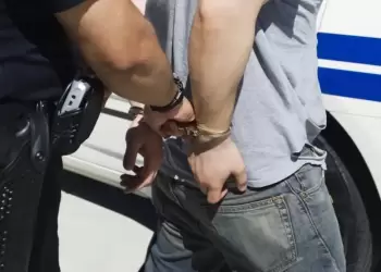 “Δεντράκι” δύο μέτρα για καλλιέργεια κάνναβης σε περιοχή της Κοζάνης