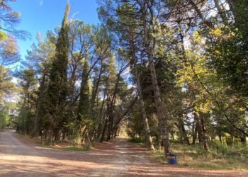 Δήμος Κοζάνης: Απαγόρευση κυκλοφορίας στο Άλσος Κουρί την Παρασκευή 22 Αυγούστου