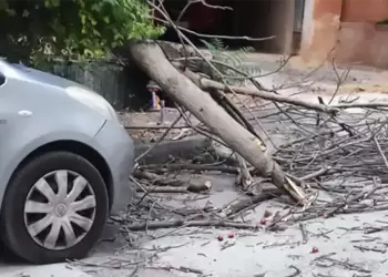 Δυνατός αέρας προκάλεσε πτώσεις δέντρων στην Κοζάνη