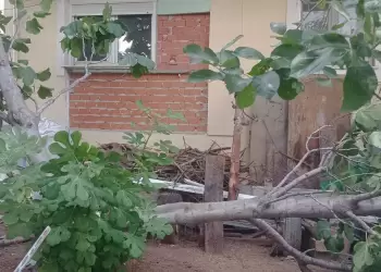 Δυνατός άνεμος σάρωσε Κοζάνη και Γρεβενά – Καταστροφές σε καλλιέργειες και ζημιές στην πόλη